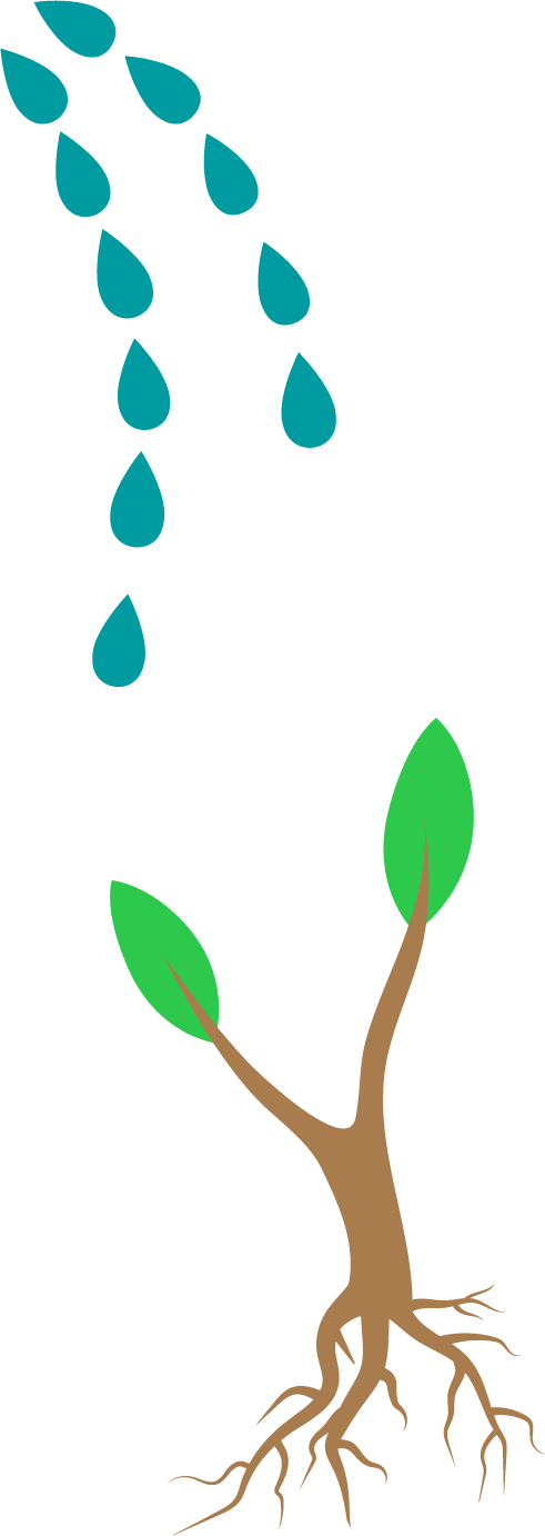 BabyTree RGB 1