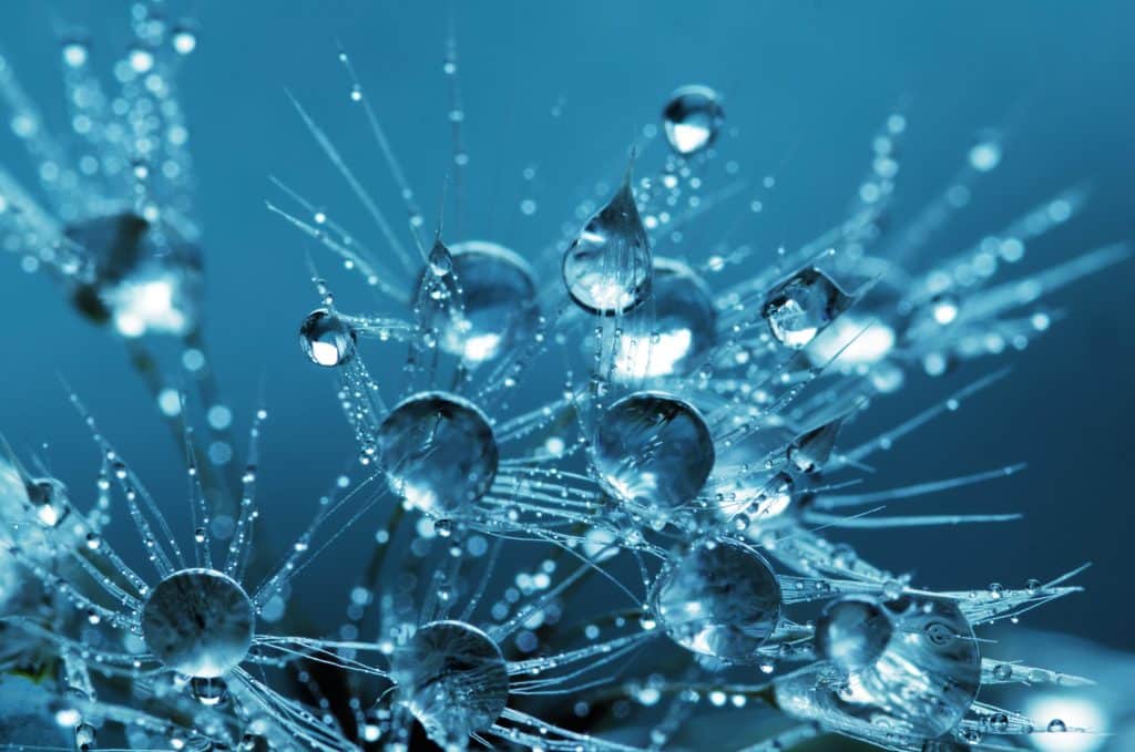 Water particles