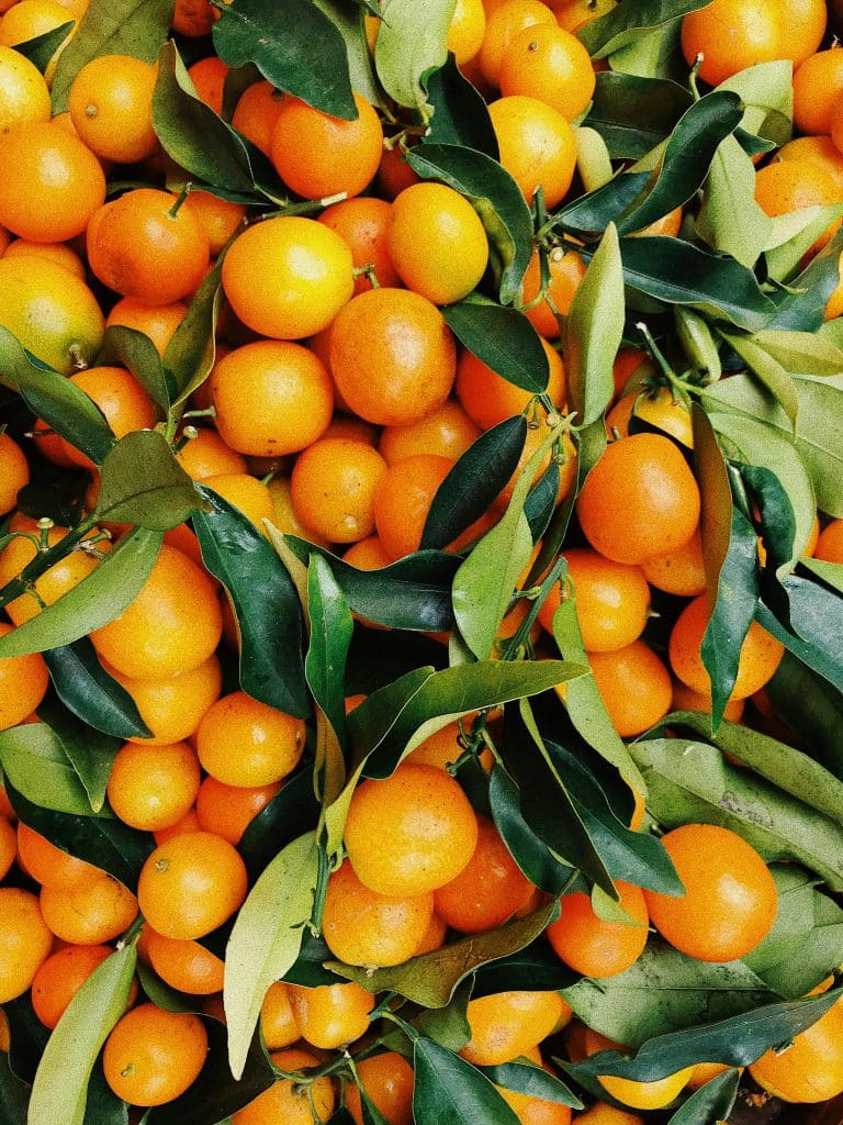 Florida Oranges